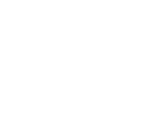 Enable Logo